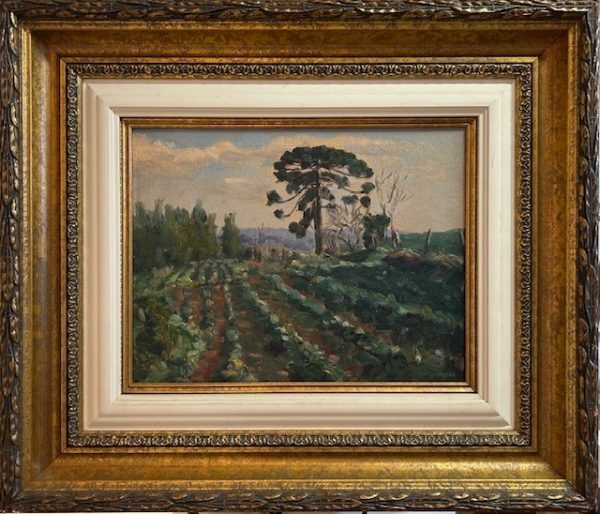 Kurt Boiger, Óleo sobre Tela, 36 x 47 cm , paisagem com Pinheiros