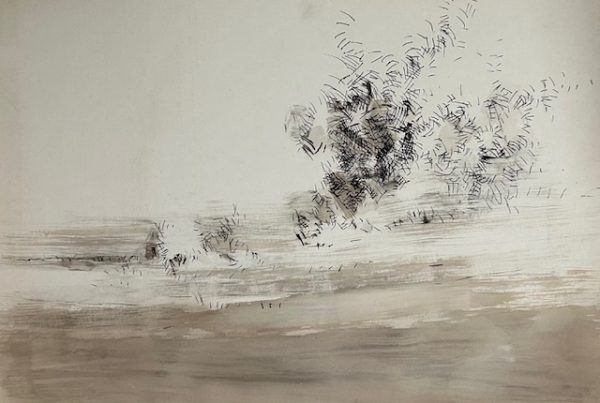 Helena Wong, 70 x 100 cm nanquim e aguada sobre cartão