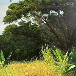 Leon Bosko, Óleo sobre Tela, 50 x 70 cm, paisagem com bananeiras