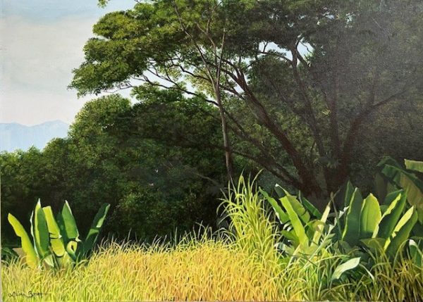 Leon Bosko, Óleo sobre Tela, 50 x 70 cm, paisagem com bananeiras